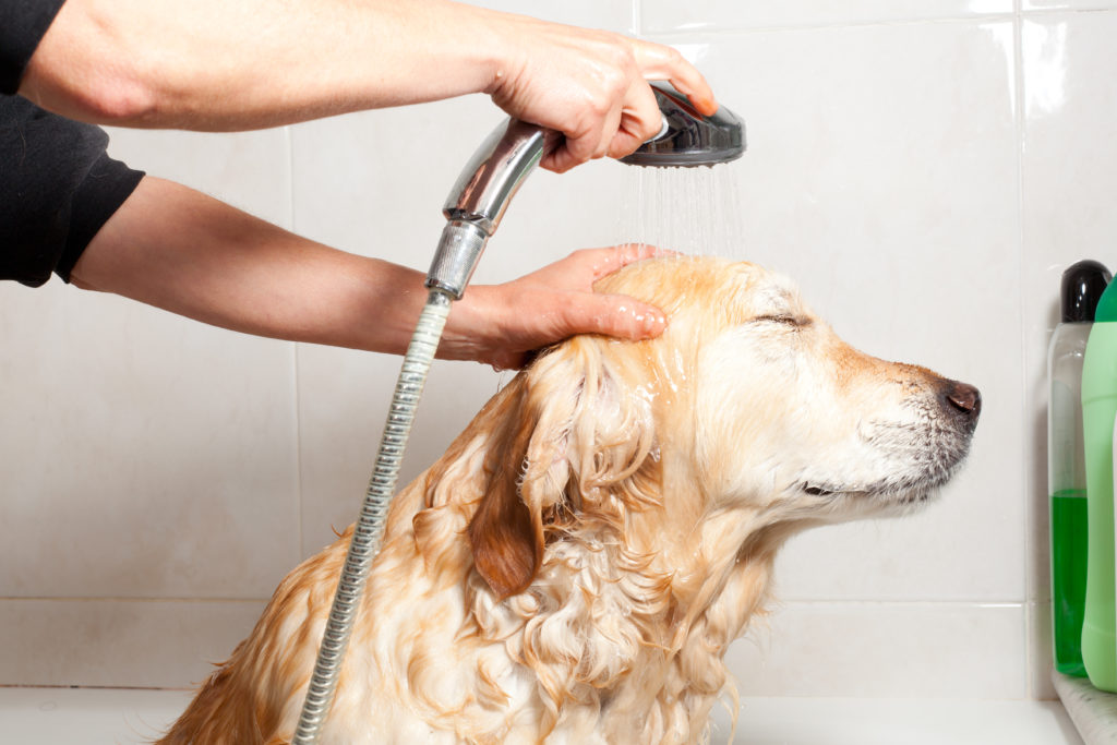 Take control of your families water quality.